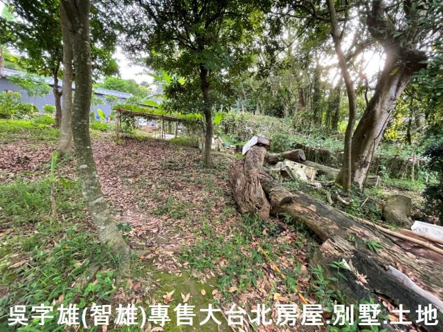 台北士林透天-6