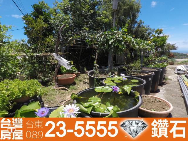 台東房地產買賣