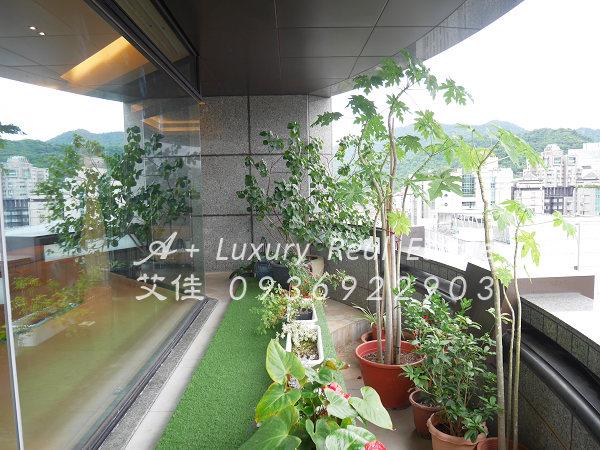 台北信義區大樓-2