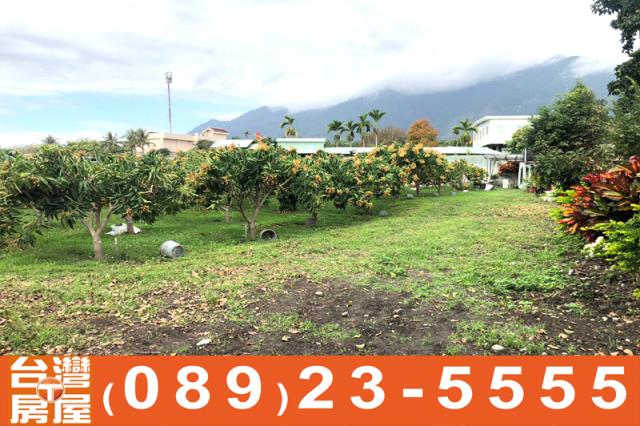 台東東河透天-15