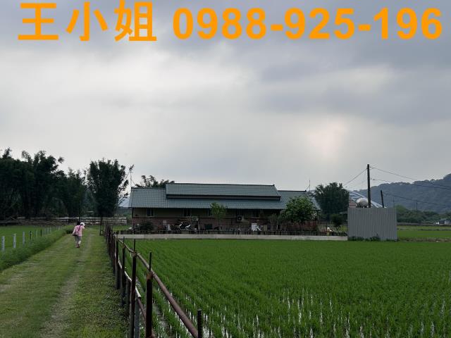大溪透天-4