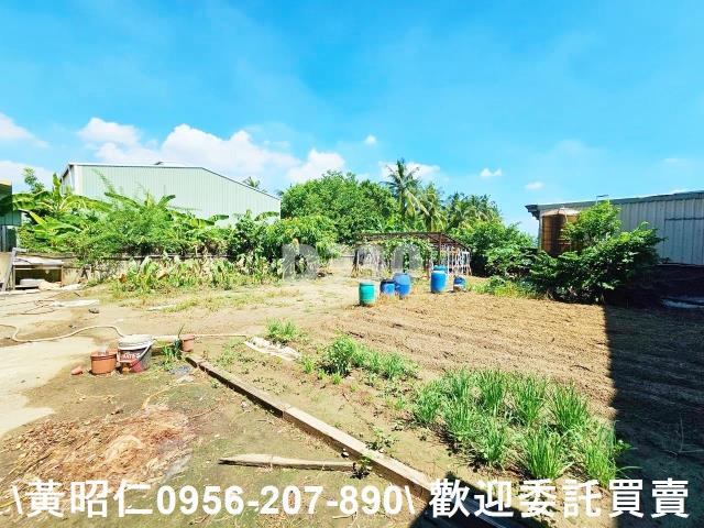 歸仁農舍-6