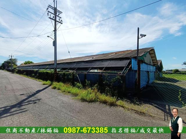 台南養雞場-7