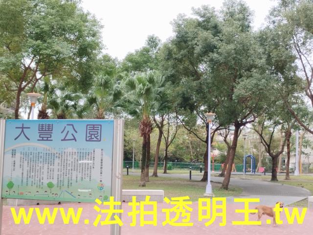 新北法拍大樓-12