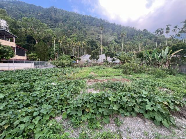 埔里透天-12