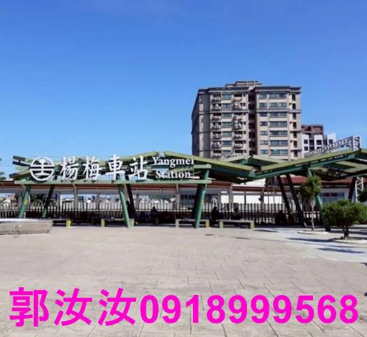 楊梅華廈-12