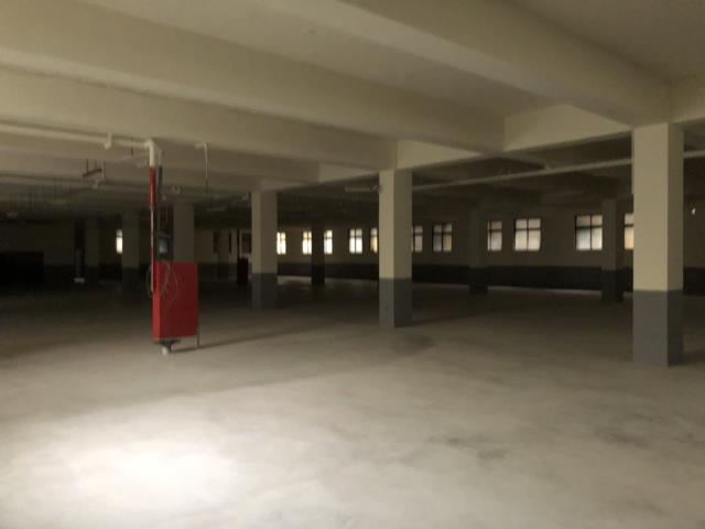 桃園八德廠房-1