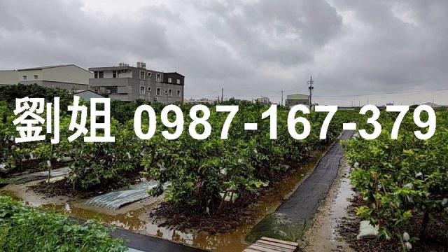 高雄阿蓮廠房-2