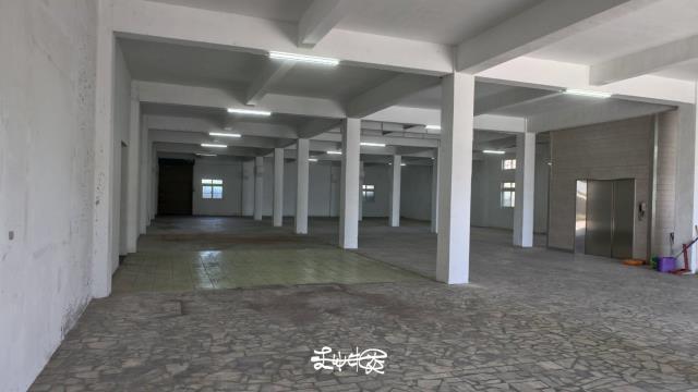 桃園大園廠房-3