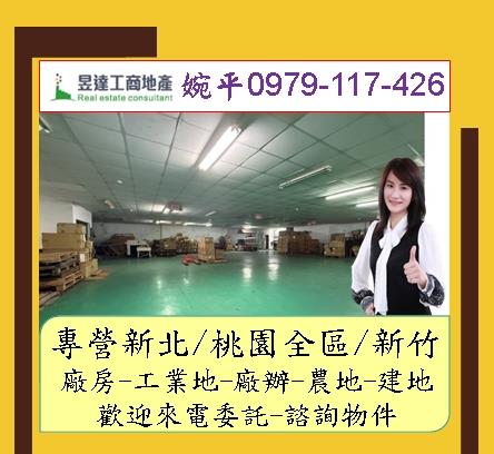 樹林廠房-1