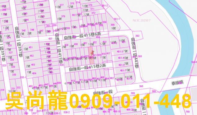 美濃法拍透天-3