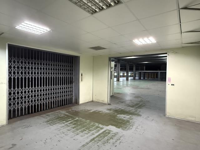 新北樹林廠房-1