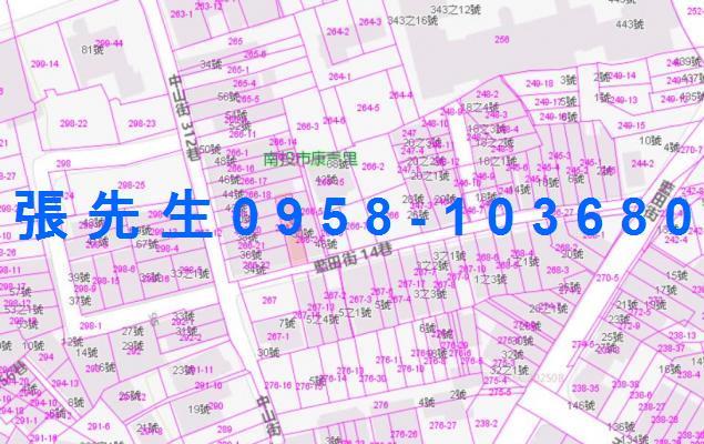 南投南投市法拍透天-5