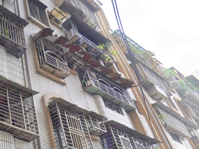 樹林公寓法拍-5