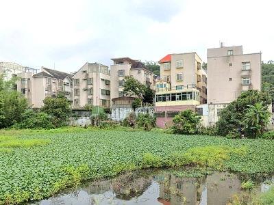 龍潭法拍透天-3