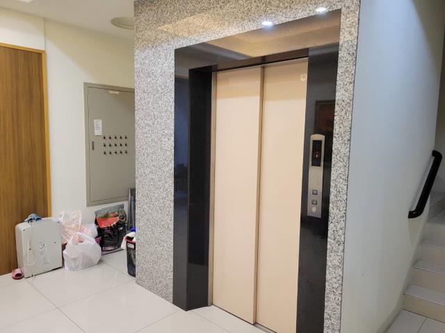 林口交流道大電梯別墅