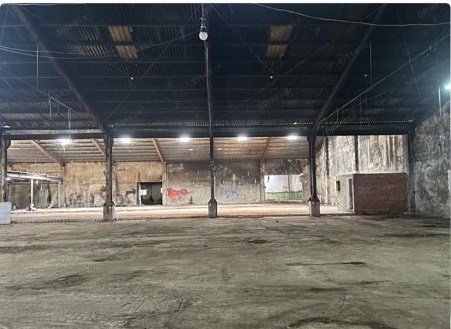 桃園中壢廠房-5