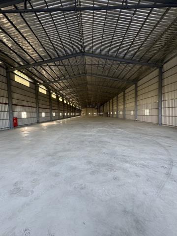 桃園大園廠房-1