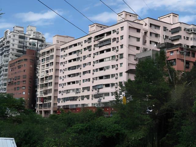 新店拍賣華廈-1