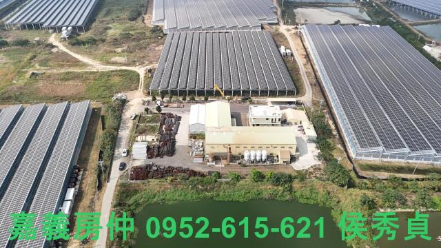 嘉義義竹廠房-2