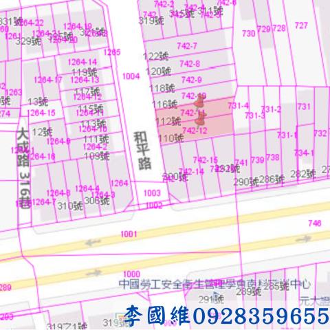 台南善化拍賣透天-3