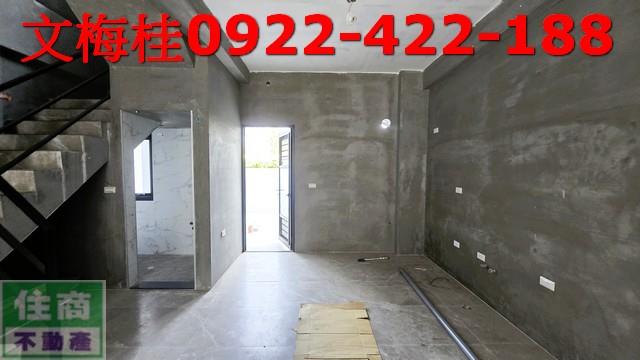 宜蘭宜蘭市別墅-3