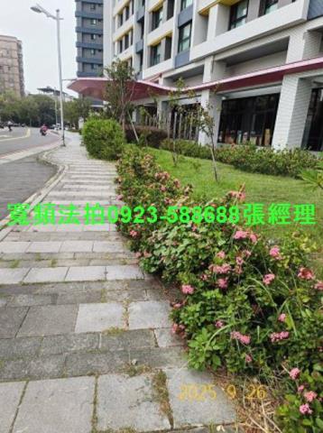 新竹竹東拍賣大樓-7