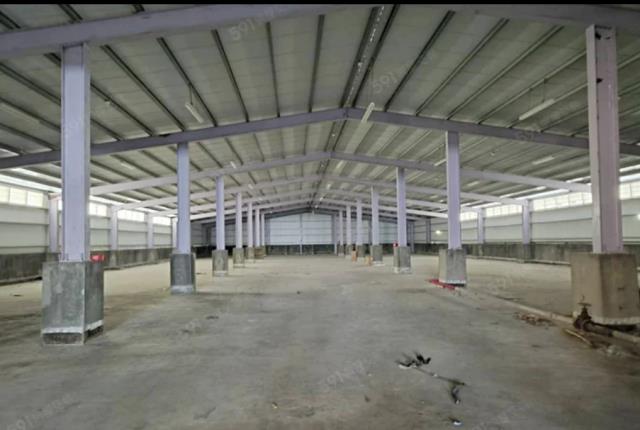 桃園觀音廠房-1