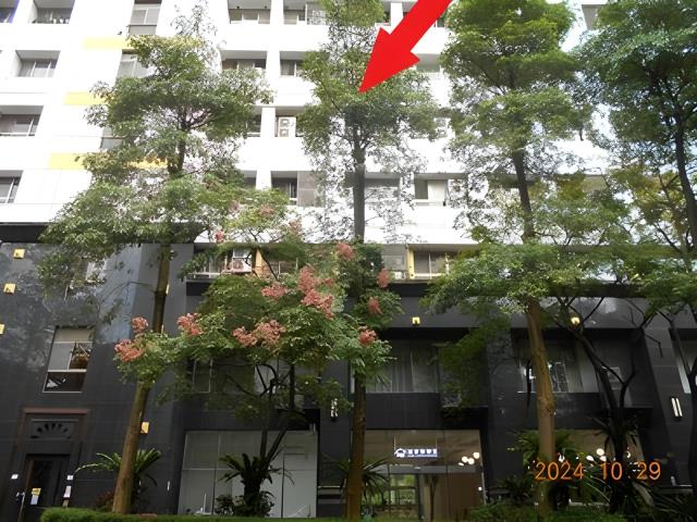 信義區拍賣大樓-1