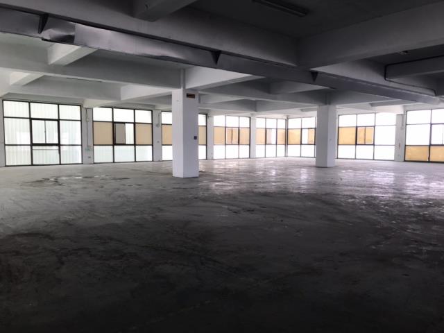 桃園平鎮廠房-2