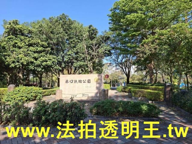 林口法拍大樓-10