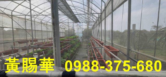 桃園新屋資材室-9