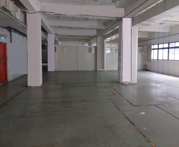新北五股廠房-6