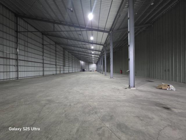 桃園大園廠房-4