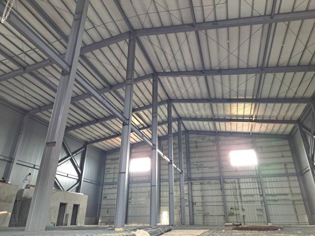 桃園大園廠房-5
