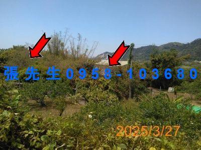 台中豐原法拍透天-2