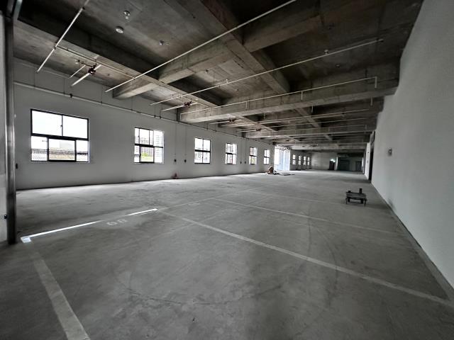 新北新莊廠房-3