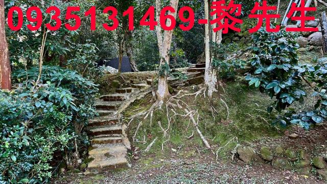 新竹尖石農舍-1