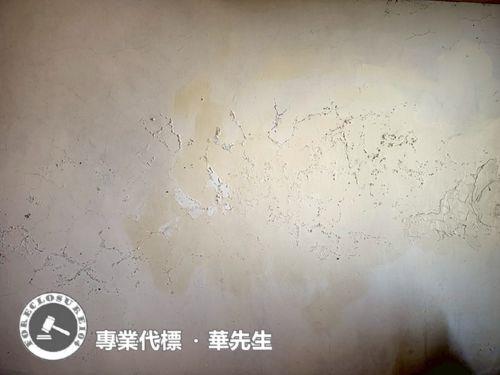 桃園透天法拍-5