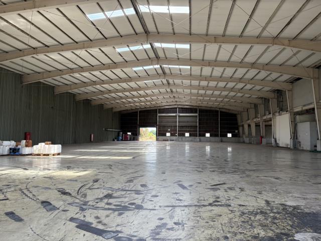 桃園新屋廠房-1