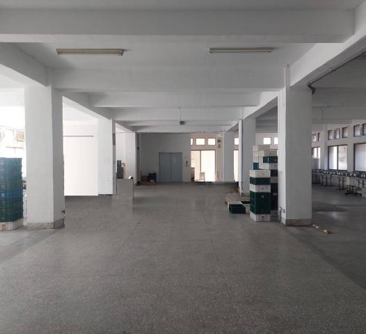 五股廠房-2
