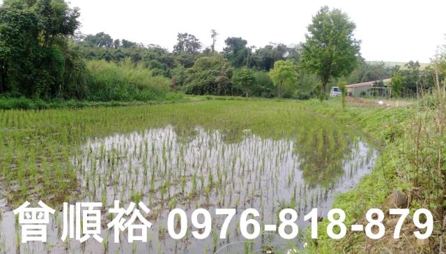 新竹竹東農舍-10