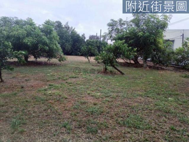 台南歸仁農舍-2