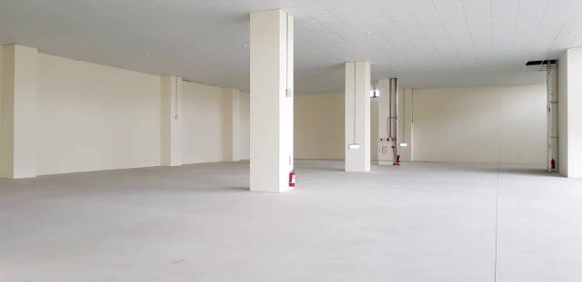 新北五股廠房-1