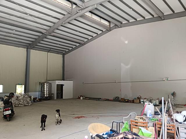 新北樹林廠房-3