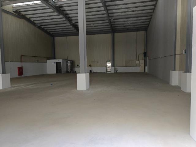 新北樹林廠房-5