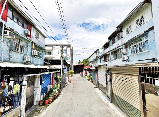 水上柳子林透天