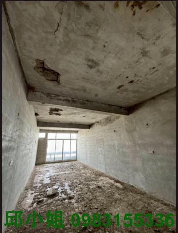 嘉義朴子透天-3