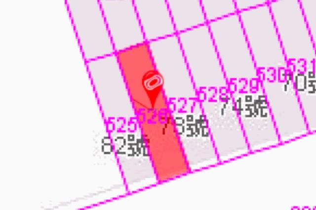 高雄湖內法拍透天-8