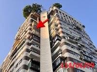 大安區大樓法拍-3